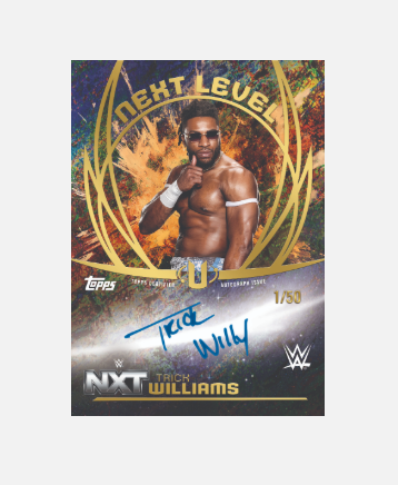 2025 Topps Universe WWE Hobby