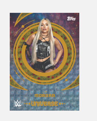 2025 Topps Universe WWE Hobby
